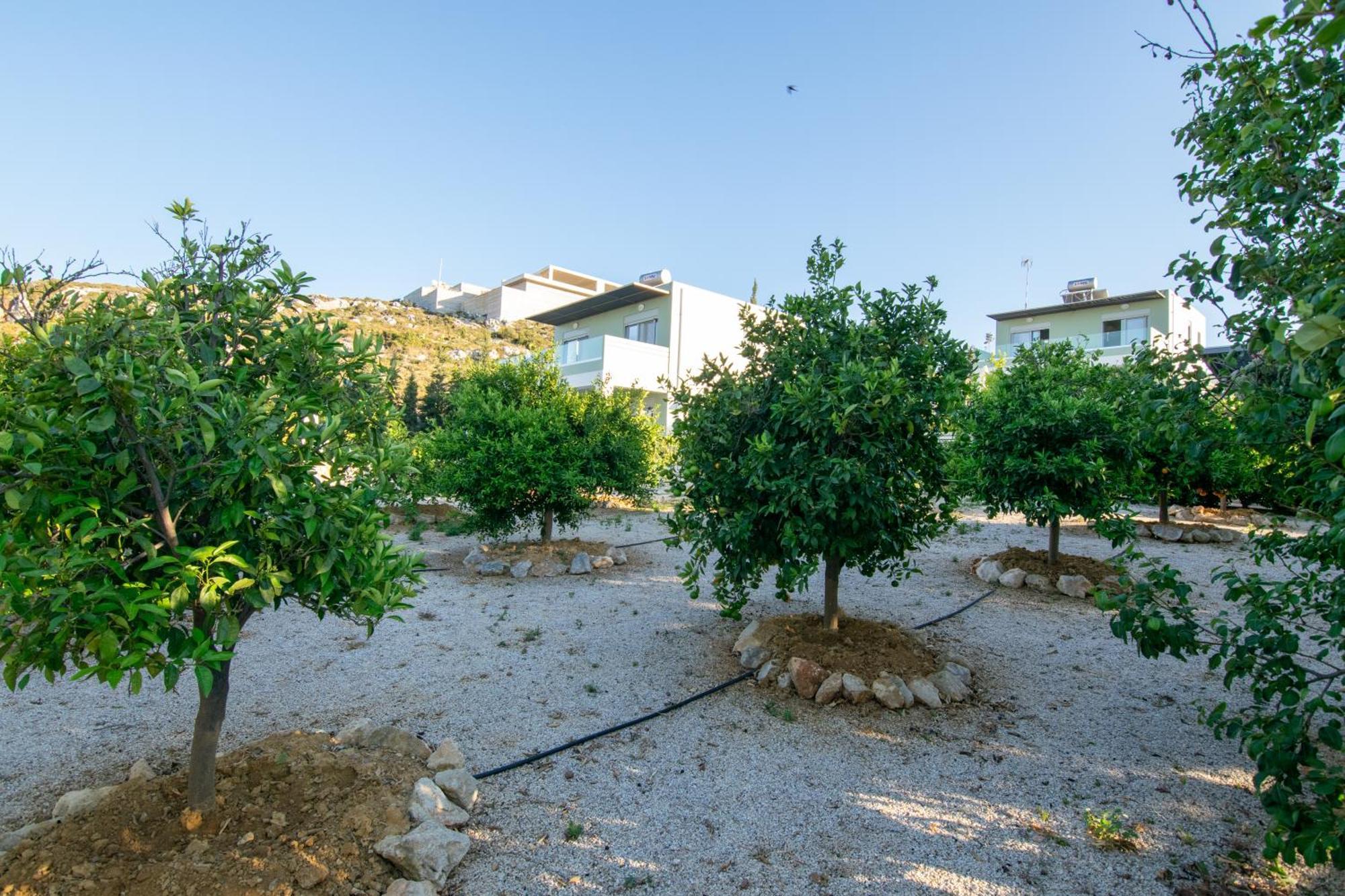 Κatakis Villas Agios Onoufrios Zewnętrze zdjęcie