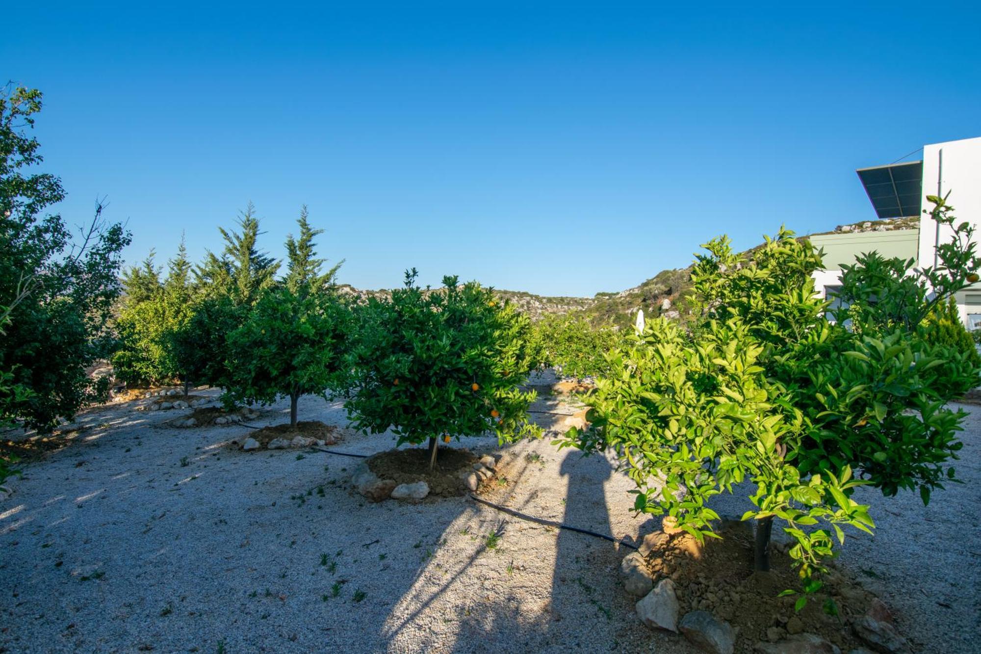 Κatakis Villas Agios Onoufrios Zewnętrze zdjęcie
