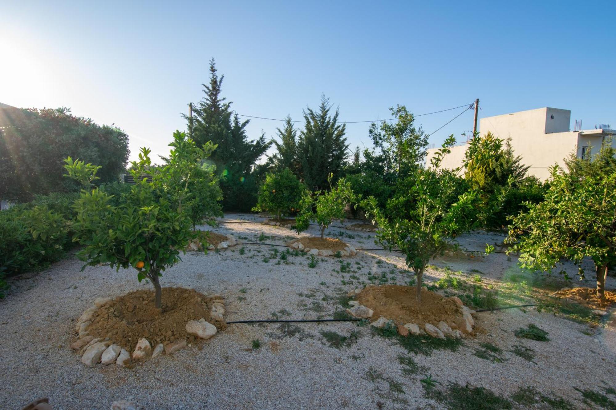 Κatakis Villas Agios Onoufrios Zewnętrze zdjęcie