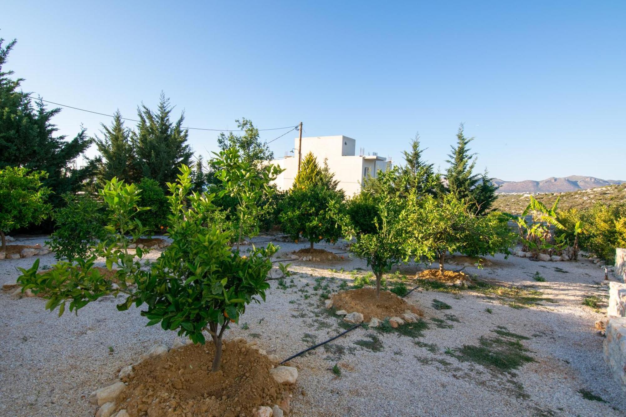 Κatakis Villas Agios Onoufrios Zewnętrze zdjęcie