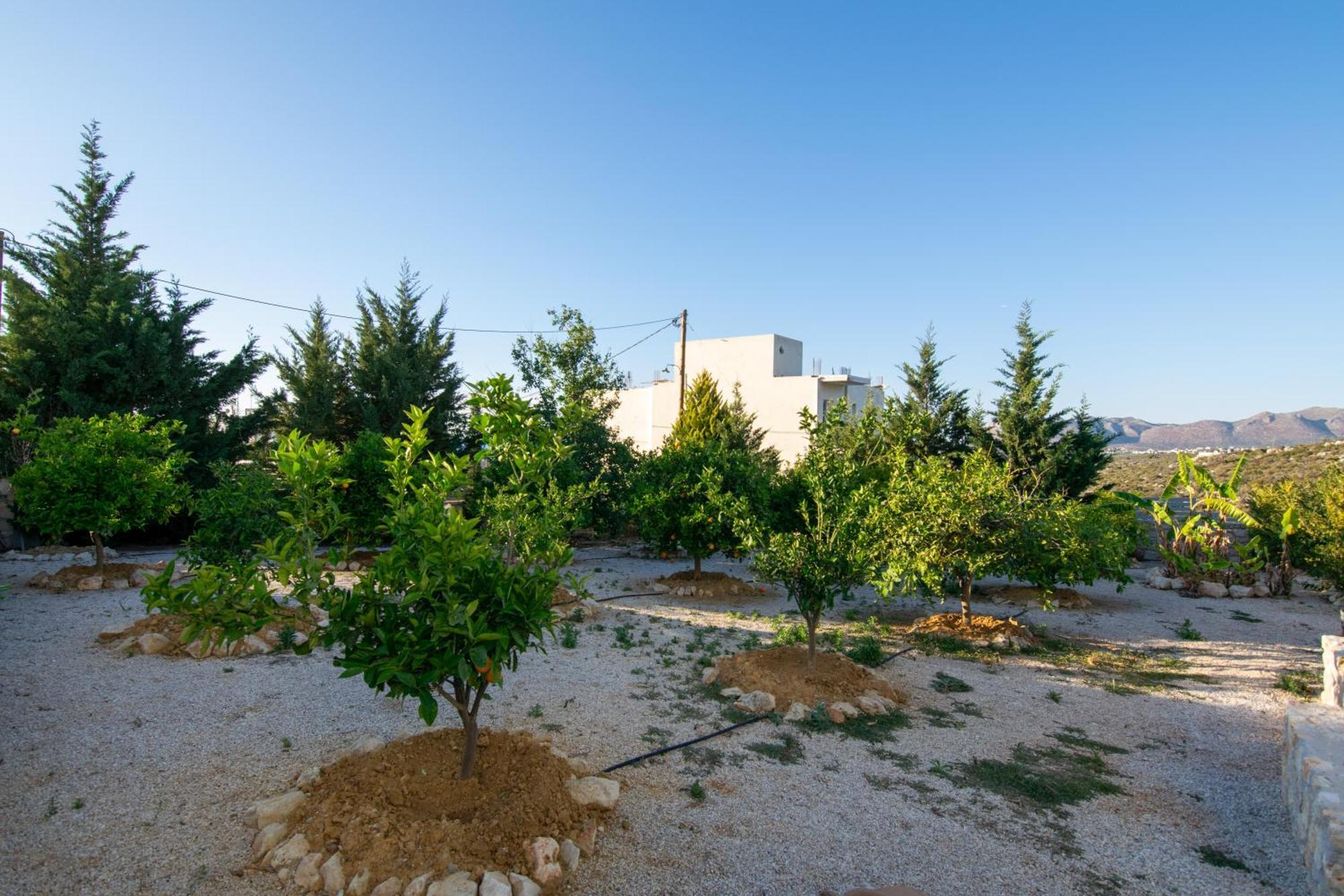 Κatakis Villas Agios Onoufrios Zewnętrze zdjęcie